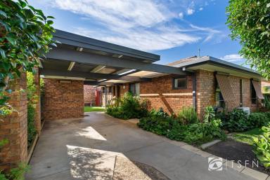 House Sold - VIC - Flora Hill - 3550 - Prime Location with Modern Comfort  (Image 2)