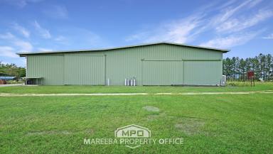 Horticulture For Sale - QLD - Mareeba - 4880 - PRIME COMMERCIAL ORCHARD FARM  (Image 2)