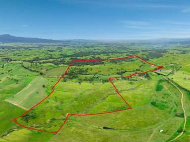 Acreage/Semi-rural For Sale - NSW - Bemboka - 2550 - MOUNT VISTA  (Image 2)