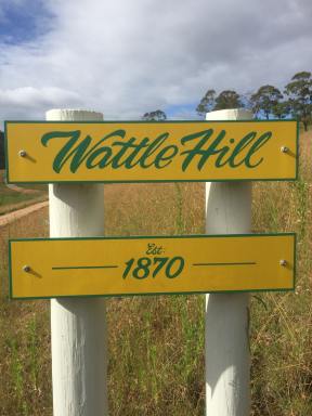 Livestock For Sale - NSW - Wyndham - 2550 - GRAZING LIVESTOCK/LIFESTYLE FARM - 220 ACRES WITH 4 BEDROOM HOME - JUST 7 MINUTES FROM WYNDHAM VILLAGE  (Image 2)