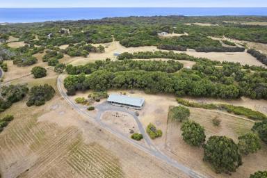 Lifestyle For Sale - VIC - Cape Otway - 3233 - SHEARWATER COTTAGES  (Image 2)
