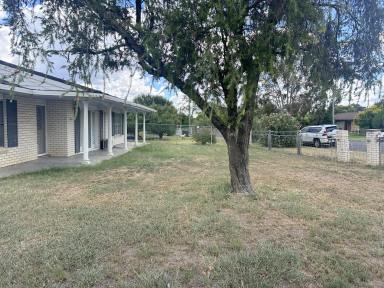 House For Sale - NSW - Moree - 2400 - INVEST OR OCCUPY - 8% GROSS RETURN  (Image 2)