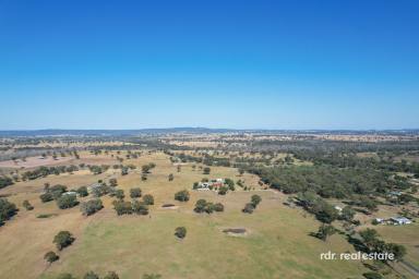 Mixed Farming For Sale - NSW - Bundarra - 2359 - WELCOME TO "MUIRHEAD HEIGHTS"  (Image 2)