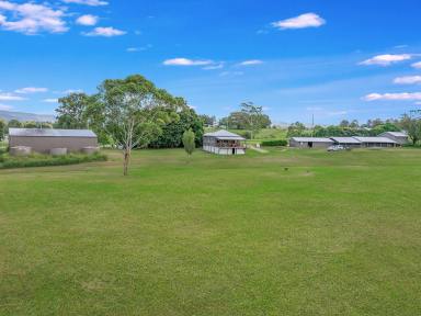 House For Sale - QLD - King Scrub - 4521 - Endless Opportunities  (Image 2)