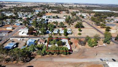 House For Sale - WA - Wagin - 6315 - Exceptional business and family opportunity  (Image 2)