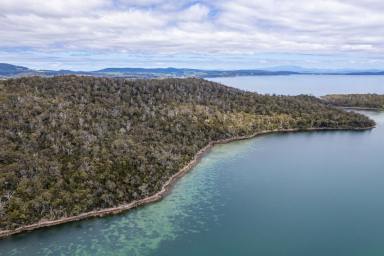 Residential Block For Sale - TAS - Taranna - 7180 - Secluded Waterfront Sanctuary. A Nature Lovers Haven.  (Image 2)