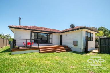 House For Sale - NSW - Glen Innes - 2370 - Neatly Renovated 3 Bedroom Home  (Image 2)