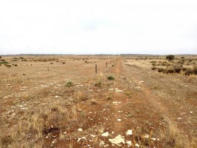Acreage/Semi-rural For Lease - SA - Coorabie - 5690 - 3758 Acres Lease by Expression's of interest ($10 to $20 an acre per Year)  (Image 2)