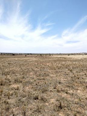 Acreage/Semi-rural For Lease - SA - Coorabie - 5690 - 1521 Hectares Grazing Lease Coorabie SA  (Image 2)