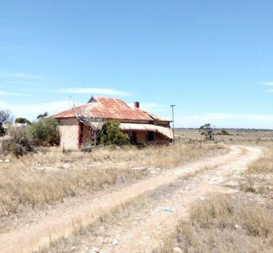 Acreage/Semi-rural For Lease - SA - Coorabie - 5690 - 3758 Acres Lease by Expression's of interest  (Image 2)