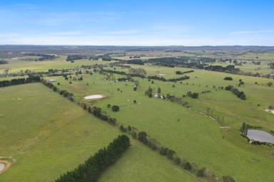 Livestock For Sale - NSW - Sutton Forest - 2577 - Substantial Acreage - Within Easy Drive of Sydney  (Image 2)