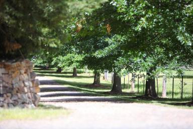 Livestock For Sale - NSW - Sutton Forest - 2577 - Araluen Homestead - Substantial Acreage - Within Easy Drive of Sydney  (Image 2)