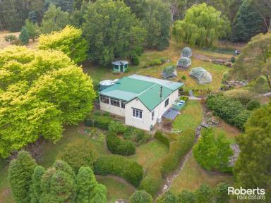 House Sold - TAS - Underwood - 7268 - Lifestyle property just 20 minutes from the CBD  (Image 2)