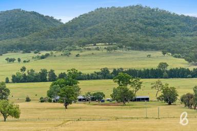 Other (Rural) For Sale - NSW - Martindale - 2328 - "FAIRLIGHT" | 387 ACRES – STUNNING SCENERY & WATER SECURITY  (Image 2)