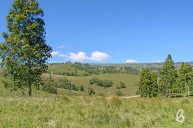 Other (Rural) For Sale - NSW - Singleton - 2330 - PICTURESQUE CATTLE COUNTRY | 140 ACRES  (Image 2)