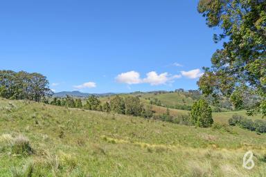 Other (Rural) For Sale - NSW - Singleton - 2330 - PICTURESQUE CATTLE COUNTRY | 140 ACRES  (Image 2)