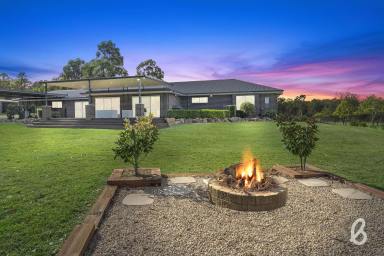 Other (Rural) For Sale - NSW - Singleton - 2330 - "KYEWONG" | IMPRESSIVE FAMILY HOME | 139 ACRES  (Image 2)