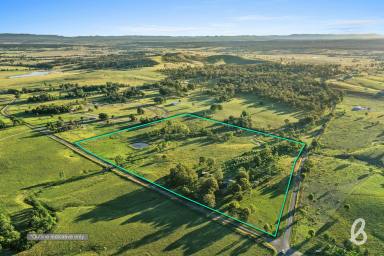 Other (Rural) For Sale - NSW - Singleton - 2330 - 'HAMILTON'S GROVE' | PEACEFUL COUNTRYSIDE HOME | SCENIC VIEWS  (Image 2)