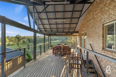 Lifestyle For Sale - NSW - Singleton - 2330 - 'HAMILTON'S GROVE' | PEACEFUL COUNTRYSIDE HOME | SCENIC VIEWS  (Image 2)