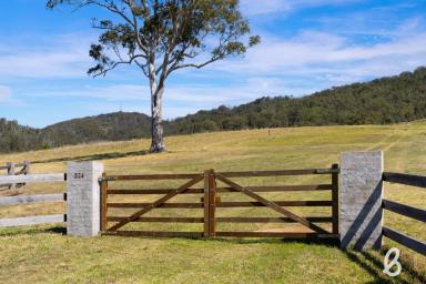 Other (Rural) Sold - NSW - Glendon Brook - 2330 - EXCEPTIONAL VIEWS | VACANT 25 ACRES WITH SHED  (Image 2)