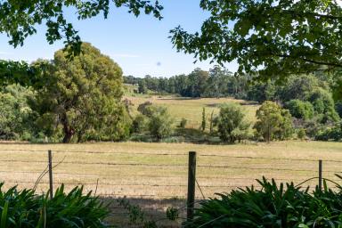 Farmlet For Sale - VIC - Yellingbo - 3139 - HIGHLY SOUGHT YARRA VALLEY OFFERING  (Image 2)