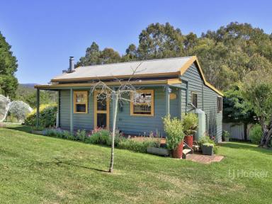 Acreage/Semi-rural For Sale - VIC - Brookville - 3896 - GORDON’S COTTAGE  (Image 2)