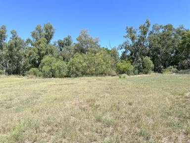 Residential Block For Sale - NSW - Moree - 2400 - WHAT ARE YOU WAITING FOR?  (Image 2)