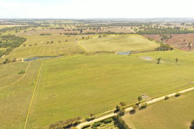 Lifestyle For Sale - NSW - Young - 2594 - The Perfect Blank Canvas  (Image 2)