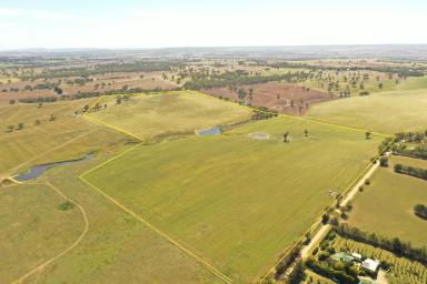 Lifestyle For Sale - NSW - Young - 2594 - The Perfect Blank Canvas  (Image 2)