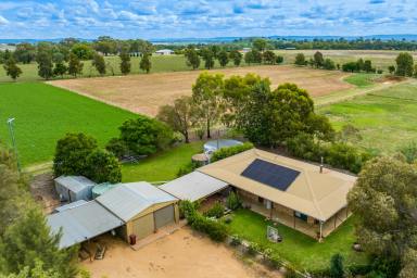Lifestyle For Sale - NSW - Cowra - 2794 - FAMILY HOME ON 10AC, 5MINS FROM TOWN!  (Image 2)