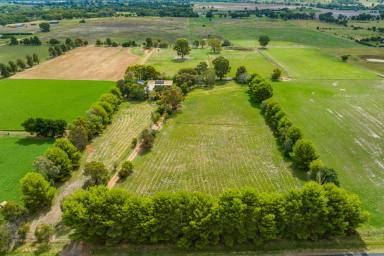 Lifestyle Sold - NSW - Cowra - 2794 - FAMILY HOME ON 10AC, 5MINS FROM TOWN!  (Image 2)