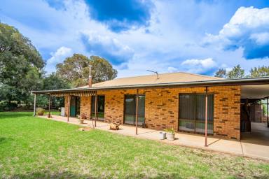 Lifestyle For Sale - NSW - Cowra - 2794 - FAMILY HOME ON 10AC, 5MINS FROM TOWN!  (Image 2)