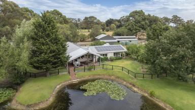 Acreage/Semi-rural For Sale - VIC - Moorooduc - 3933 - Equestrian’s Oasis With Tradie’s Shed, Guest House & Contemporary Home  (Image 2)