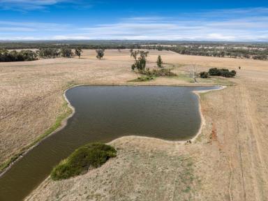 Mixed Farming For Sale - VIC - Toolleen - 3551 - 452 Acres Prime Farming Land - Mt Camel District  (Image 2)