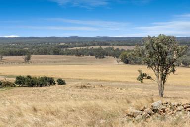 Mixed Farming For Sale - VIC - Toolleen - 3551 - 452 Acres Prime Farming Land - Mt Camel District  (Image 2)