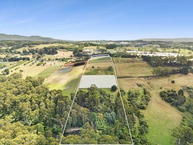 Other (Rural) For Sale - VIC - Silvan - 3795 - Introducing Your Dream Rural Retreat  (Image 2)