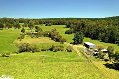 Mixed Farming For Sale - VIC - Carrajung Lower - 3844 - "GREY GUMS"  (Image 2)
