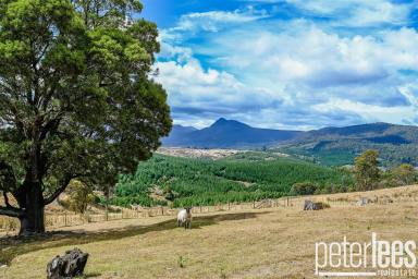 House Sold - TAS - Blessington - 7212 - Another Property SOLD SMART by Peter Lees Real Estate  (Image 2)