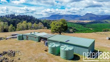 House Sold - TAS - Blessington - 7212 - Another Property SOLD SMART by Peter Lees Real Estate  (Image 2)