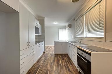 House For Lease - NSW - Raymond Terrace - 2324 - NEAT & TIDY HOME!  (Image 2)