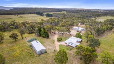 Acreage/Semi-rural For Sale - NSW - Running Stream - 2850 - The Gullies - Luxurious Estate Atop 1000m Above Sea Level.  (Image 2)