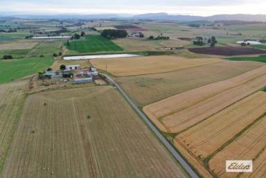 Mixed Farming For Sale - TAS - Moriarty - 7307 - "WINDY RIDGE" -  38.24 HECTARES (94.4 acres)  (Image 2)