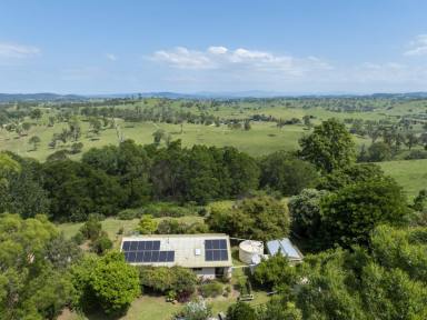 Acreage/Semi-rural For Sale - NSW - Bega - 2550 - ULTIMATE PRIVACY ONLY A SHORT DISTANCE TO BEGA  (Image 2)