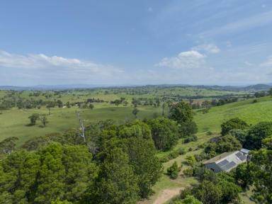 Acreage/Semi-rural Sold - NSW - Bega - 2550 - ULTIMATE PRIVACY ONLY A SHORT DISTANCE TO BEGA  (Image 2)