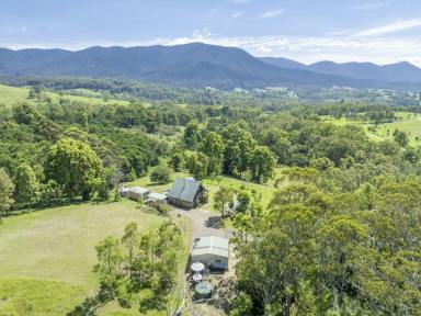 Acreage/Semi-rural For Sale - NSW - Bemboka - 2550 - COMPLETE OFF-GRID LIVING  (Image 2)