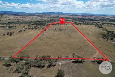 Other (Rural) For Sale - NSW - Tamworth - 2340 - Rare 100 Acre Offering - All Reasonable Offers Will Be Considered  (Image 2)