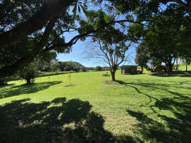 Acreage/Semi-rural For Sale - QLD - Julatten - 4871 - ELEVATED LIVING IN PICTURESQUE JULATTEN  (Image 2)