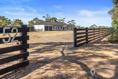 House For Sale - VIC - Port Albert - 3971 - MAGNIFICENT COUNTRY HOME  (Image 2)