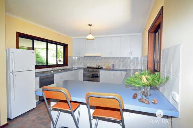 House For Sale - VIC - Cheshunt - 3678 - COUNTRYSIDE HOME OPPOSITE KING RIVER  (Image 2)