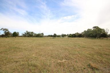 Other (Rural) For Sale - VIC - Stanhope - 3623 - 40-ACRES ON STANHOPE TOWNS EDGE  (Image 2)
